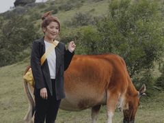 -大姆山草场