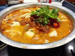 -龙梅肥肠鱼(明瓦廊店)