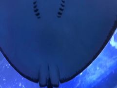 -多彩贵州城极地海洋世界