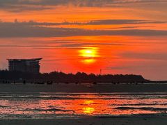 -红树林天天赶海