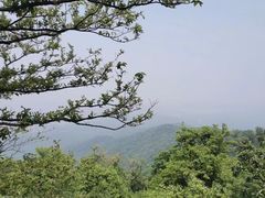 -紫金山山顶公园