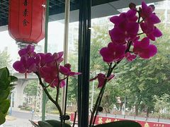 -众善素食(佛平五路店)
