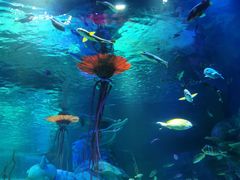 -沈阳海洋探索中心