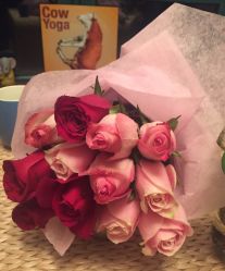 -Union瑜伽健康管理中心