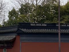 -钱王祠