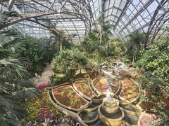 -南山植物园