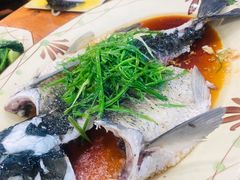 清蒸烷鱼-华信美食