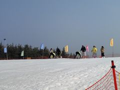 -华夏良子·足道SPA艾灸(龙潭路店)