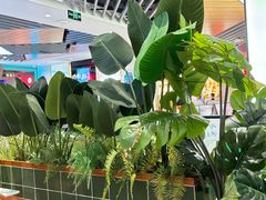 -芭札·Thai泰国餐厅(同和金铂天地店)