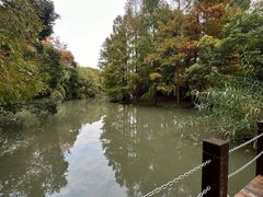 -上海滨江森林公园