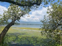 -西昌邛海湿地