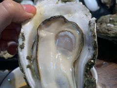 -土蚝·高压锅生蚝(百姓美食街店)