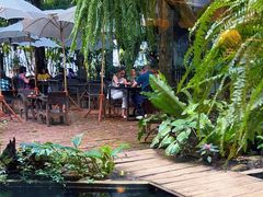 -Fern Forest Cafe
