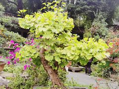-成都杜甫草堂博物馆