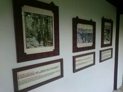 -九龙寨城公园