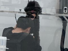 -comecome来吧宠物(奥克斯中心店)