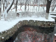 -水磨沟公园