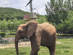 -哈尔滨北方森林动物园