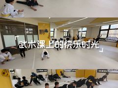 -勇气斑马·巴西柔术&跆拳道(浦东三林店)