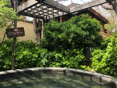 -仁爱团泊湖温泉中心