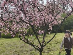 -钟山体育运动公园