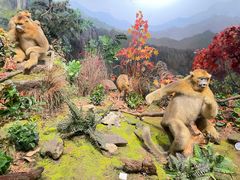 -陕西自然博物馆