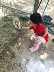 -上美四季动物农场