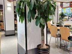 -苏氏牛肉面(惠工街店)