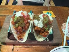 -Famous肥猫墨西哥音乐餐吧(五棵松华熙LIVE店)