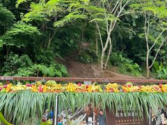 -野象谷景区