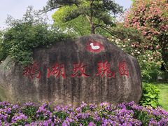 -鹅湖玫瑰文化园