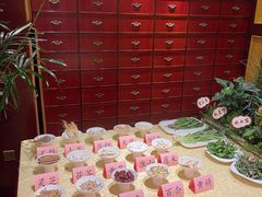 -钦善斋(武侯祠店)