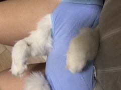 -美联众合动物医院·24h转诊中心