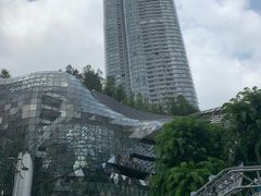 -爱雍·乌节
