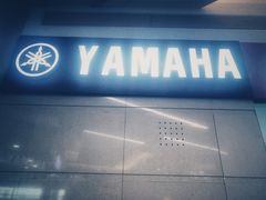 -九拍音乐培训学校(嘉里汇校区)