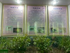 -上海昆虫博物馆