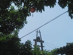 -燊海井