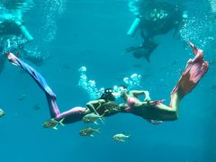 -瑞德姆美人鱼海底演艺主题餐厅(亚龙湾店)