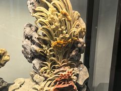 -青田石雕博物馆