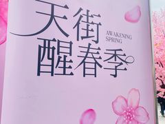 -首开·龙湖成都西宸天街