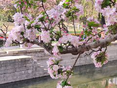 -元大都城垣遗址公园