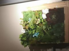 -安琳acKONA咖啡(市南店)