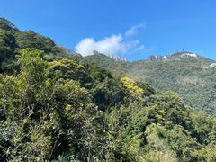 -太平山顶