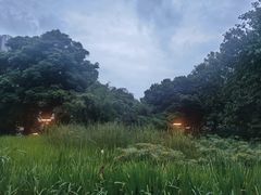 -成都市活水公园