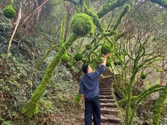 -龙湾潭国家森林公园