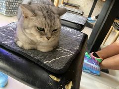 -平行世界·猫咖(首经贸店)
