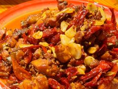 -柴窝堡22号辣子鸡·传承新疆菜