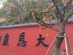 -大慈岩风景区
