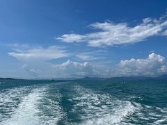 -小猫钓鱼海钓俱乐部(椰梦长廊店)