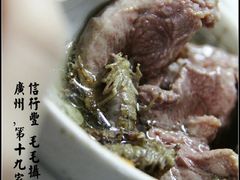 额&nbsp;蝎子现身-信行丰炖品皇店(光孝路店)